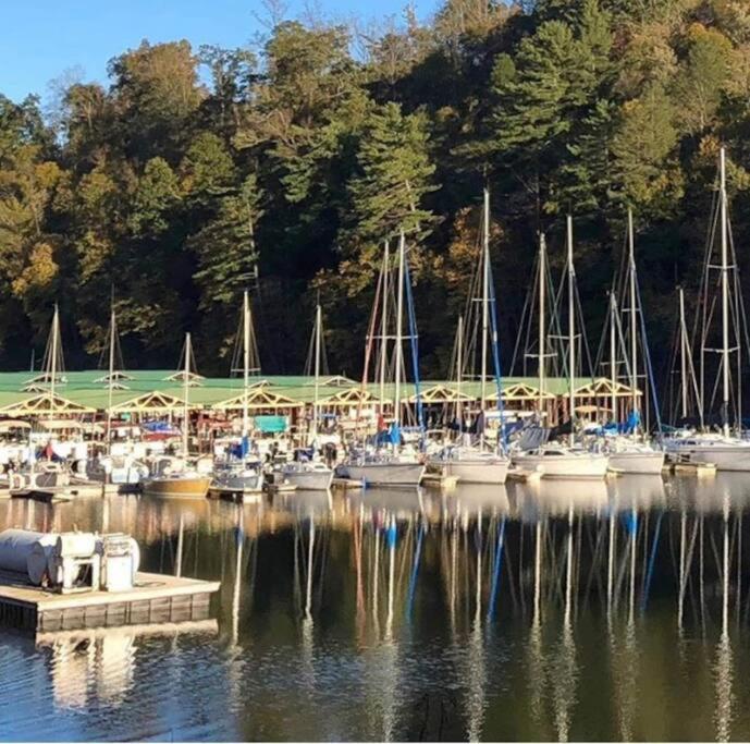 Cabin At The Cove At Watauga Lake Butler Zewnętrze zdjęcie