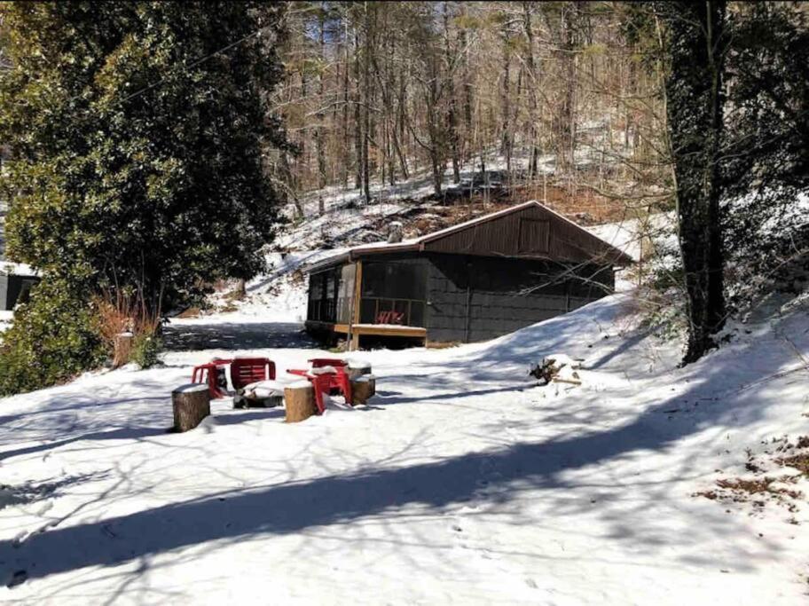 Cabin At The Cove At Watauga Lake Butler Zewnętrze zdjęcie